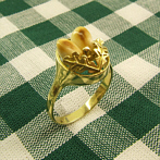 Golden Ring "Waltraud" Grandl-Style, 333 gold